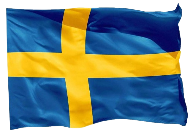 sve_flag